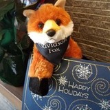 Davidson Fox & CO Llp - Accountants in New York