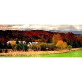 Professional Appraisal Service - Other in New York