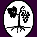 Grafted Grape Vine Nursery - Other in New York