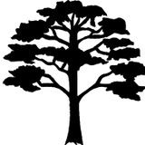 Timberline Hardwood Dimensions - Other in New York