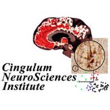 Cingulum Neurosciences Institute Inc - Other in New York