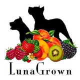 LunaGrown Jam - Other in New York