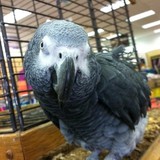 Sneaker Store - Other in New York