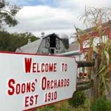 Soons Orchards - Other in New York
