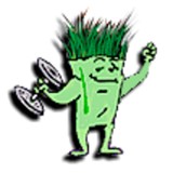 Healthy Lawn - Lawn Services in New York