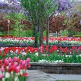 Orange County Pistol Permits - Other in New York