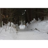 West Rome Riders Inc - Other in New York