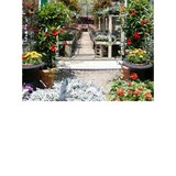 Tom's Greenhouse - Other in New York