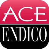 Ace Endico Corp - Other in New York