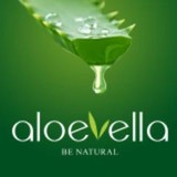 Ojas Enterprises LLC - Other in New York