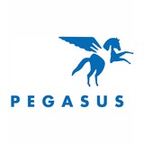Pegasus Therapeutic Riding Inc - Other in New York