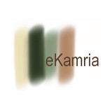eKamria - Web Design & Development in New York