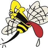 Gannon Pest Control - Pest Control in New York