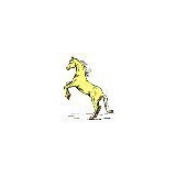 Adventure Horse Riding in NYS - Other in New York