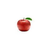 Apple Ridge Orchard - Other in New York