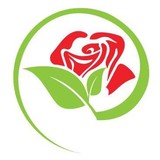 Rose City Glass Co Inc - Other in New York