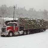 Hill Farms Gift Shop - Other in Lehighton