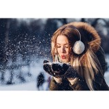 Stupp Furs - Other in Haverford