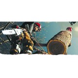 McCreesh Tree Service, Inc. - Tree Services in Warminster