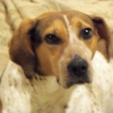 Newell Thomas J - Other in Perkasie