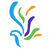 Squirrel Hill Health Center - Medical Centers in Pittsburgh