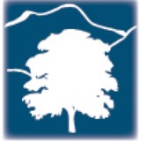 Charney Anne Klena DDS - Dentists in Johnstown