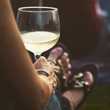 Brandywine Valley Wine Trail - Other in Landenberg