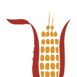 Maize Restaurant - Restaurants in Perkasie
