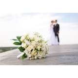 Feastivities Inc - Caterers in Berwyn