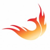 Phoenix Business Technologies - Web Design & Development in Pittsburgh