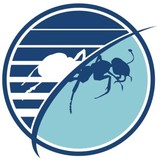 Budget Pest Control, Inc. - Pest Control in Pittsburgh