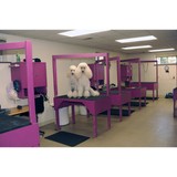 Precious Paws 2 Pet Salon - Pet Stores in Pittsburgh