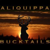 Aliquippa Bucktails Sportsmens - Other in Aliquippa