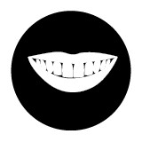 Zehner Eric D DDS - Dentists in Reading