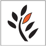 Synatree Internet Growth Strategies, LLC - Web Design & Development in Erie