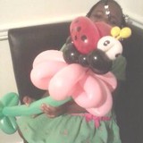 TnT Party Explosion LLC - Other in Brookhaven