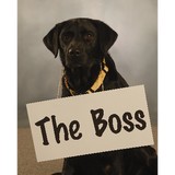 Black Dawg Sealcoat Of Bucks County - Other in New Hope