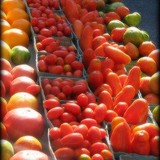 Toigo Orchards - Other in Shippensburg