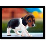 Hopewell Mennonite Sharing Pln - Other in Morgantown