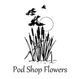 Pod Shop - Other in New Hope