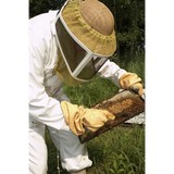 Above All Pest Control Inc - Pest Control in Levittown