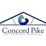 Xanthopoulos Cindy DVM - Veterinarians/Vets in Chadds Ford