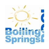 Boiling Springs Pool - Other in Boiling Springs