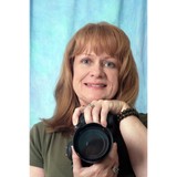 Carol Weis Studio - Other in Levittown