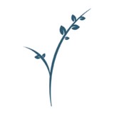 Plush Mill Senior Living - Other in Wallingford