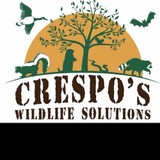 Crespo's Wildlife Solutions - Pest Control in Johnstown