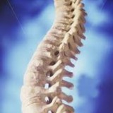 Forest Hills Chiropractic Center - Chiropractors in Pittsburgh