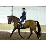 Silver Crest Equestrian Center - Other in Valencia