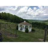 Starr Winery Outlet - Other in Clearfield
