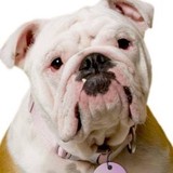 Comfort Pro Inc - Heating & Air Conditioning / HVAC in Reading